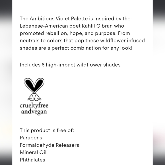 NITB WINGME | Ambitious Violet Eyeshadow Palette - Picture 6 of 6